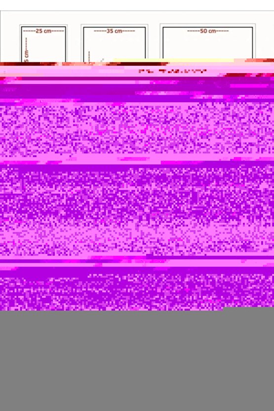 Memoir of a Snail (2024) 0003 ( FOLYO ) - AFİŞ - POSTER-4557