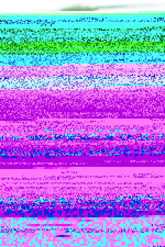 Creed III (2023) 1 ( FOLYO ) - AFİŞ - POSTER-2272