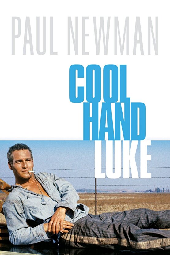 Cool Hand Luke (1967) ( FOLYO ) - AFİŞ - POSTER-2230