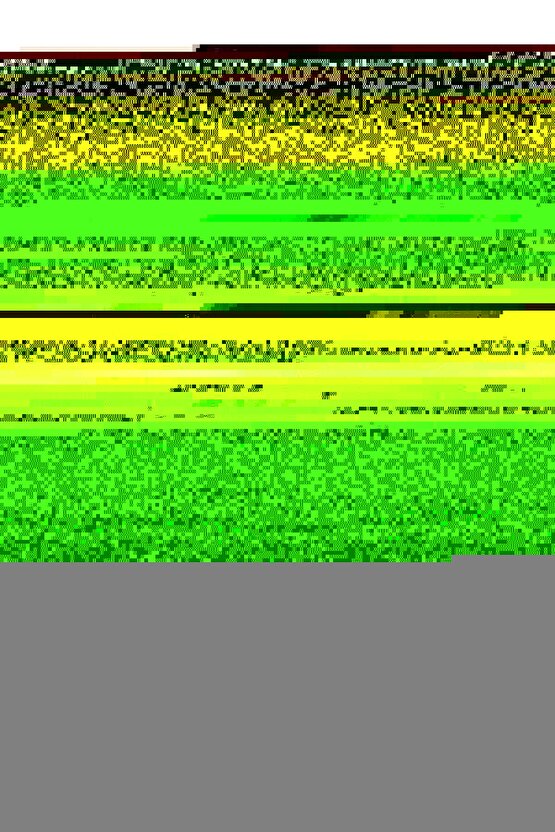 101 Dalmatians II Patchs London Adventure (2002) ( FOLYO ) - AFİŞ - POSTER-1036