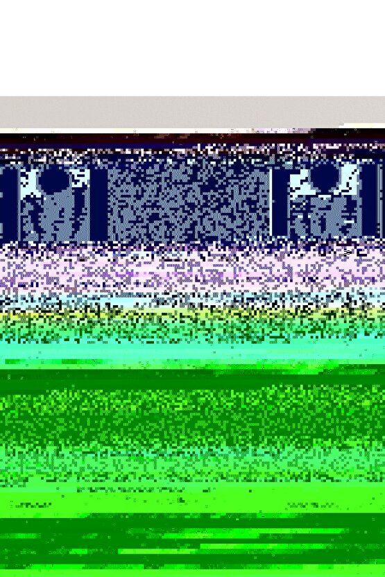 Matisse - Sanat - Soyut - Doğa - Ev - Yaşam ( 2 Li Çerçevesiz ) Poster - Afiş - Tablo NNHT835