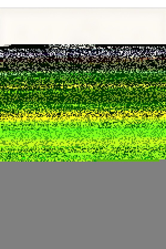 Matisse - Sanat - Soyut - Doğa - Ev - Yaşam ( 2 Li Çerçevesiz ) Poster - Afiş - Tablo NNHT811