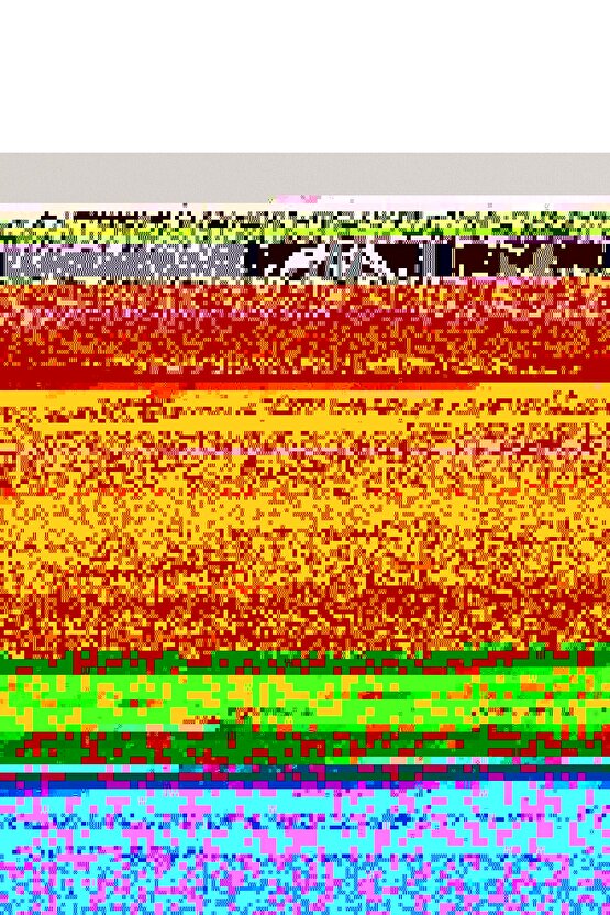 Matisse - Sanat - Soyut - Doğa - Ev - Yaşam ( 2 Li Çerçevesiz ) Poster - Afiş - Tablo NNHT525