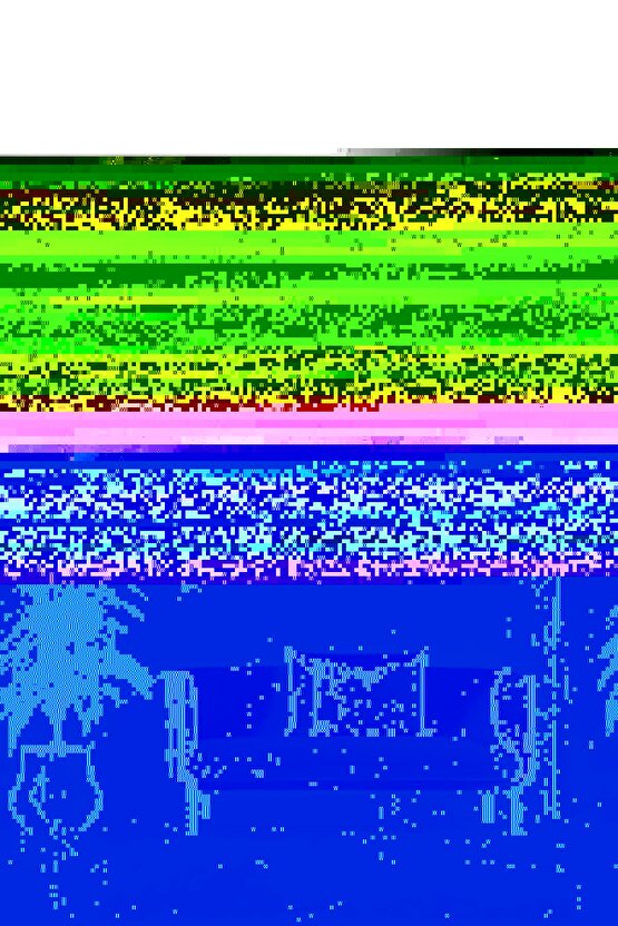 Matisse - Sanat - Soyut - Doğa - Ev - Yaşam ( 2 Li Çerçevesiz ) Poster - Afiş - Tablo NNHT401