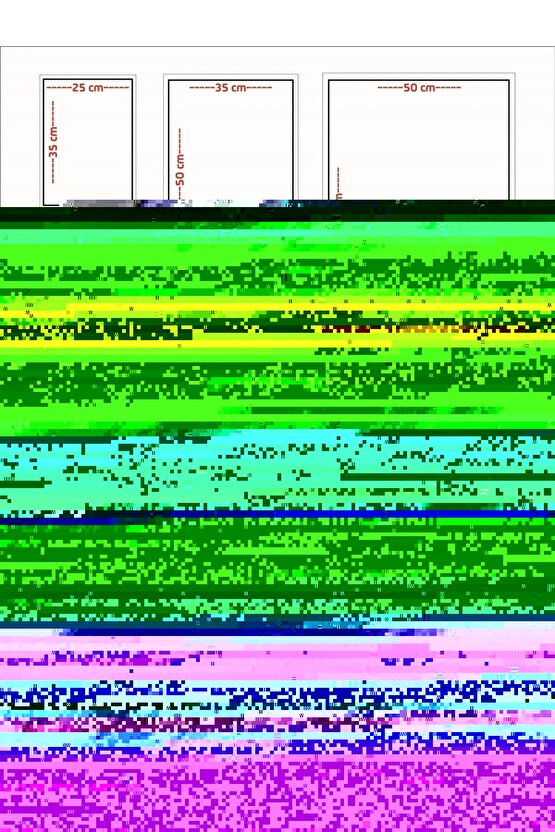Matisse - Sanat - Soyut - Doğa - Ev - Yaşam ( 2 Li Çerçevesiz ) Poster - Afiş - Tablo NNHT429
