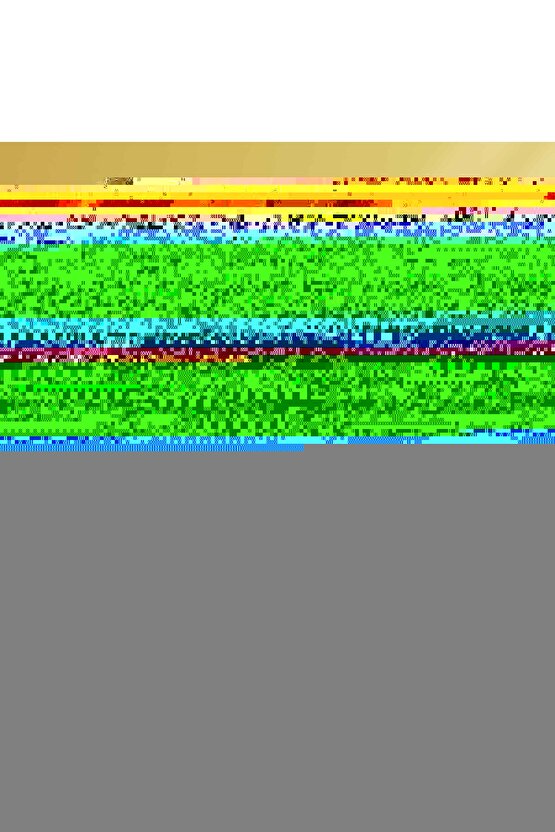 Matisse - Sanat - Soyut - Doğa - Ev - Yaşam ( 2 Li Çerçevesiz ) Poster - Afiş - Tablo NNHT580