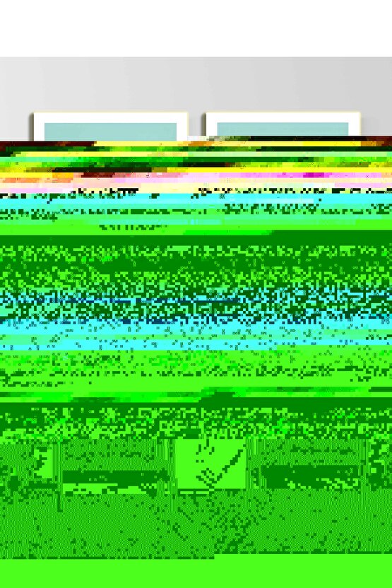 Matisse - Sanat - Soyut - Doğa - Ev - Yaşam ( 2 Li Çerçevesiz ) Poster - Afiş - Tablo NNHT324