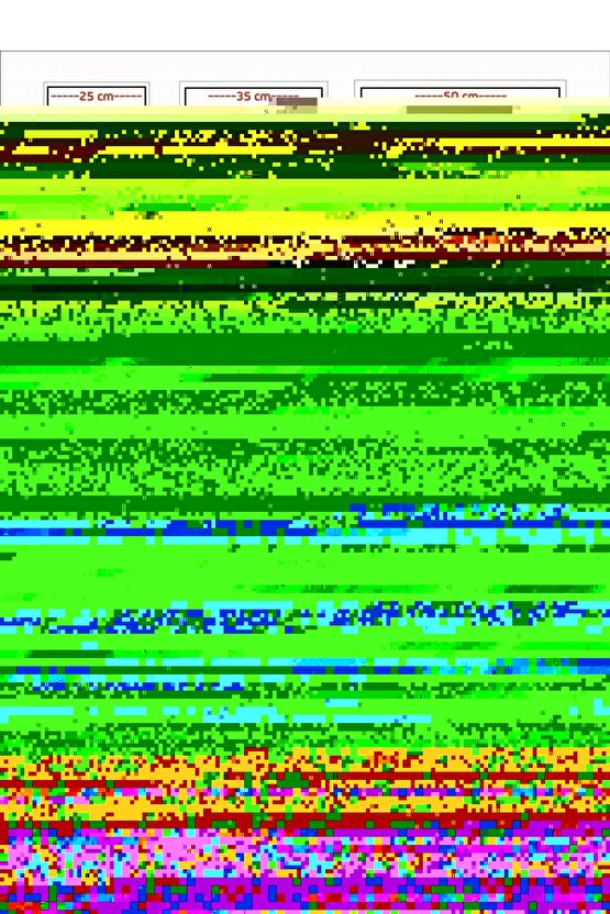 Matisse - Sanat - Soyut - Doğa - Ev - Yaşam ( 2 Li Çerçevesiz ) Poster - Afiş - Tablo NNHT856