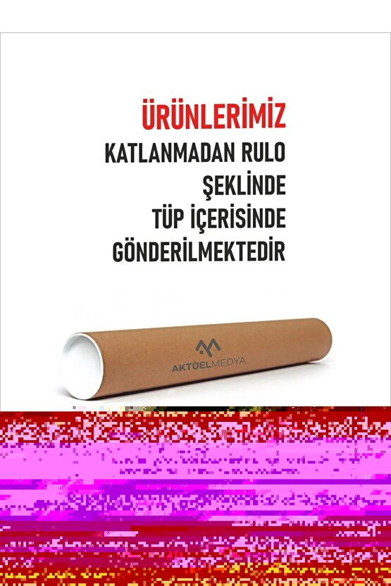 Matisse - Sanat - Soyut - Doğa - Ev - Yaşam ( 2 Li Çerçevesiz ) Poster - Afiş - Tablo NNHT847