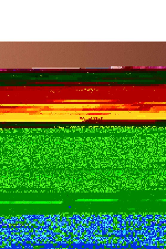 Matisse - Sanat - Soyut - Doğa - Ev - Yaşam ( 2 Li Çerçevesiz ) Poster - Afiş - Tablo NNHT189