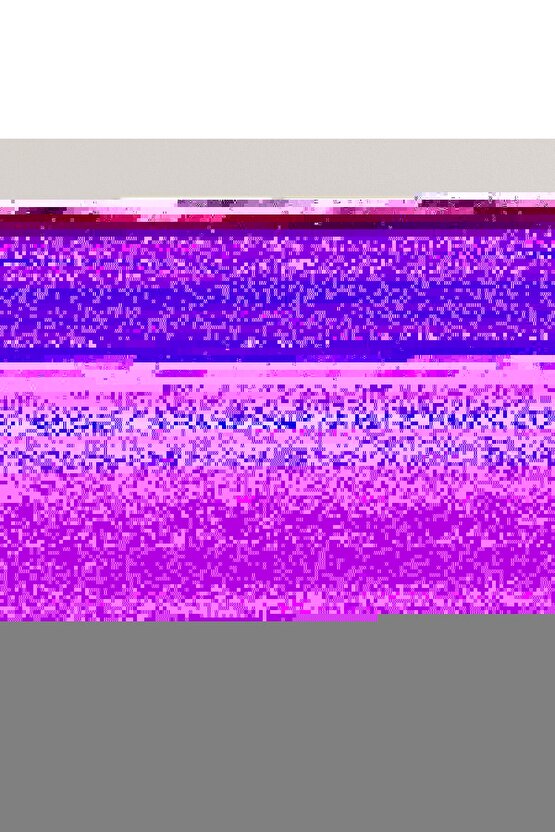 Matisse - Sanat - Soyut - Doğa - Ev - Yaşam ( 2 Li Çerçevesiz ) Poster - Afiş - Tablo NNHT569