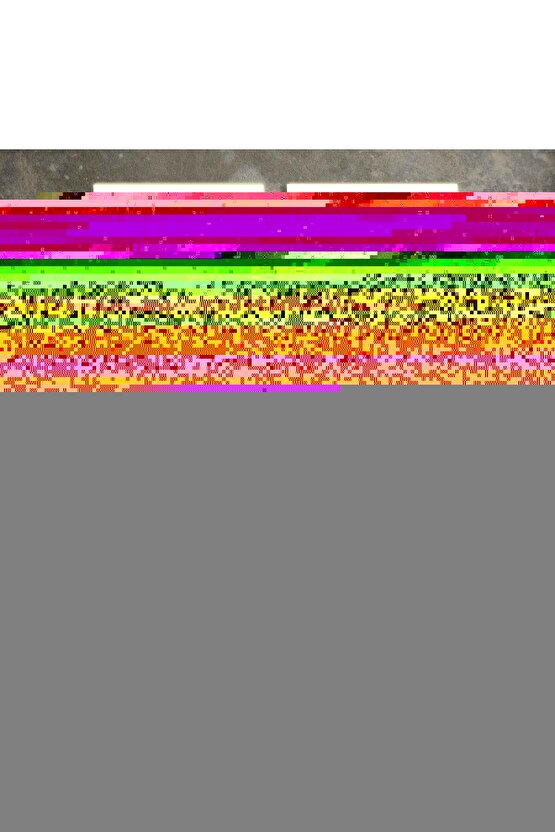 Matisse - Sanat - Soyut - Doğa - Ev - Yaşam ( 2 Li Çerçevesiz ) Poster - Afiş - Tablo NNHT813