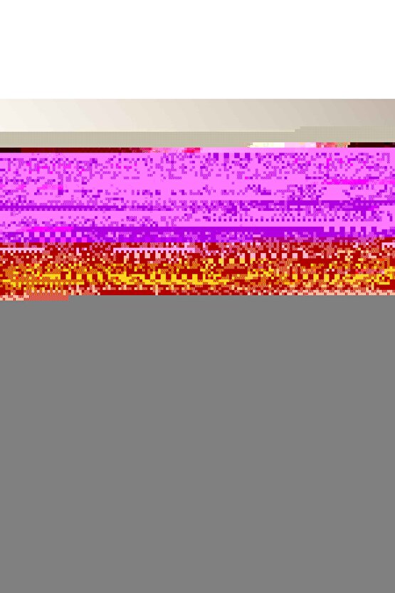 Matisse - Sanat - Soyut - Doğa - Ev - Yaşam ( 2 Li Çerçevesiz ) Poster - Afiş - Tablo NNHT419