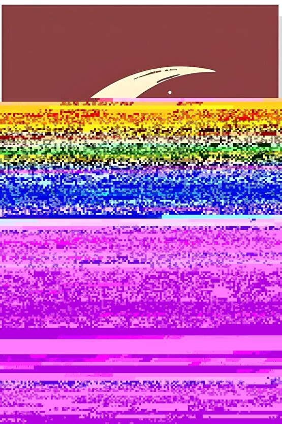 Matisse - Sanat - Soyut - Doğa - Ev - Yaşam ( 2 Li Çerçevesiz ) Poster - Afiş - Tablo NNHT278