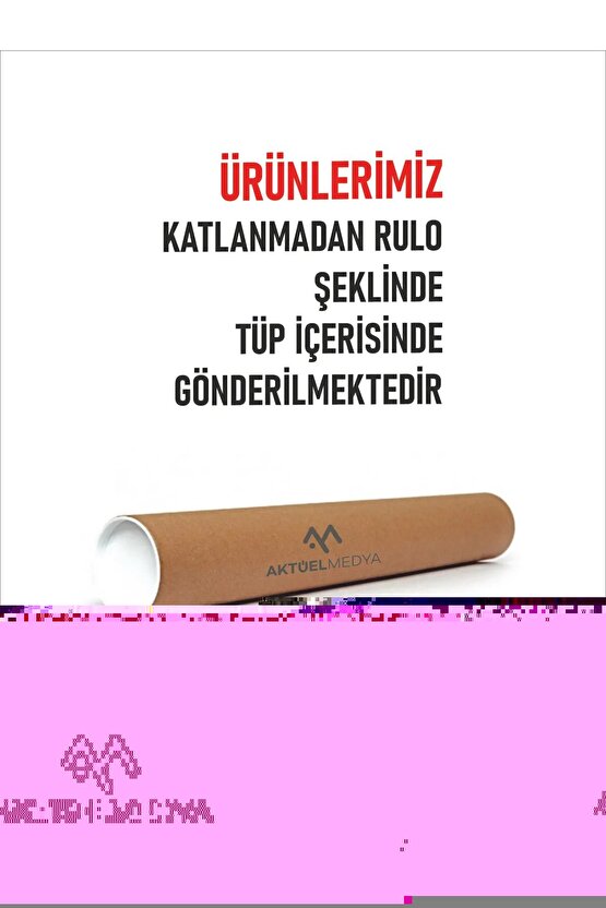 Matisse - Sanat - Soyut - Doğa - Ev - Yaşam ( 2 Li Çerçevesiz ) Poster - Afiş - Tablo NNHT674