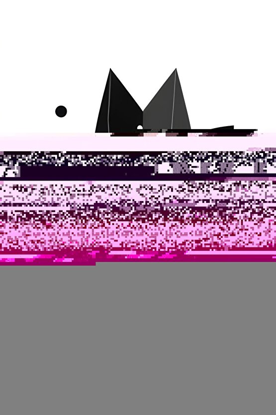 Matisse - Sanat - Soyut - Doğa - Ev - Yaşam ( 2 Li Çerçevesiz ) Poster - Afiş - Tablo NNHT427