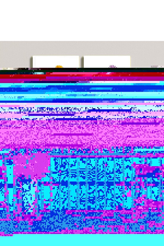 Matisse - Sanat - Soyut - Doğa - Ev - Yaşam ( 2 Li Çerçevesiz ) Poster - Afiş - Tablo NNHT532