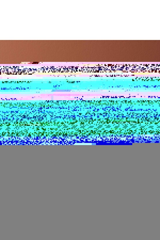 Matisse - Sanat - Soyut - Doğa - Ev - Yaşam ( 2 Li Çerçevesiz ) Poster - Afiş - Tablo NNHT285