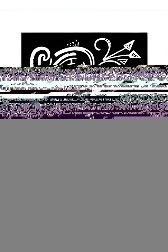 Matisse - Sanat - Soyut - Doğa - Ev - Yaşam ( 2 Li Çerçevesiz ) Poster - Afiş - Tablo NNHT486