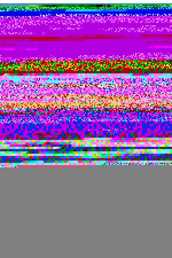 Matisse - Sanat - Soyut - Doğa - Ev - Yaşam ( 2 Li Çerçevesiz ) Poster - Afiş - Tablo NNHT422