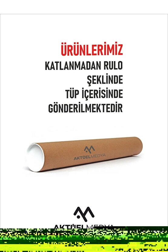 Matisse - Sanat - Soyut - Doğa - Ev - Yaşam ( 2 Li Çerçevesiz ) Poster - Afiş - Tablo NNHT139