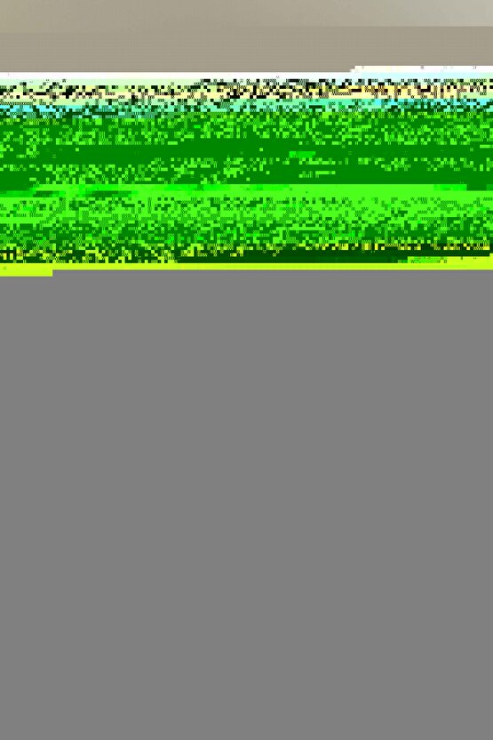 Matisse - Sanat - Soyut - Doğa - Yaşam ( Tekli Çerçevesiz ) Poster - Afiş - Tablo MKKM1552