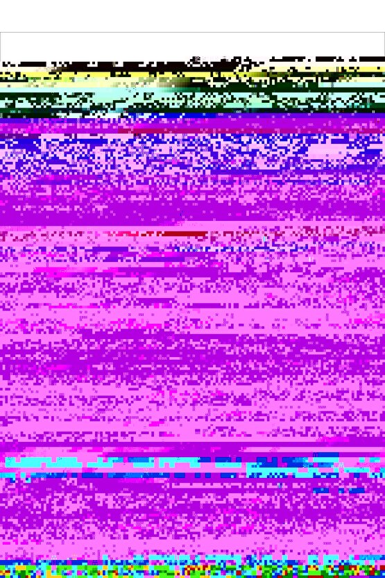 Matisse - Sanat - Soyut - Doğa - Yaşam ( Tekli Çerçevesiz ) Poster - Afiş - Tablo MKKM1703