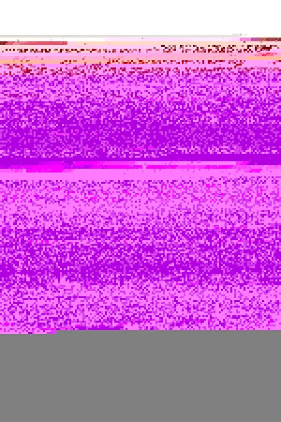 Matisse - Sanat - Soyut - Doğa - Yaşam ( Tekli Çerçevesiz ) Poster - Afiş - Tablo MKKM2573