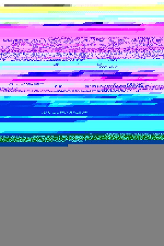 Matisse - Sanat - Soyut - Doğa - Yaşam ( Tekli Çerçevesiz ) Poster - Afiş - Tablo MKKM2144