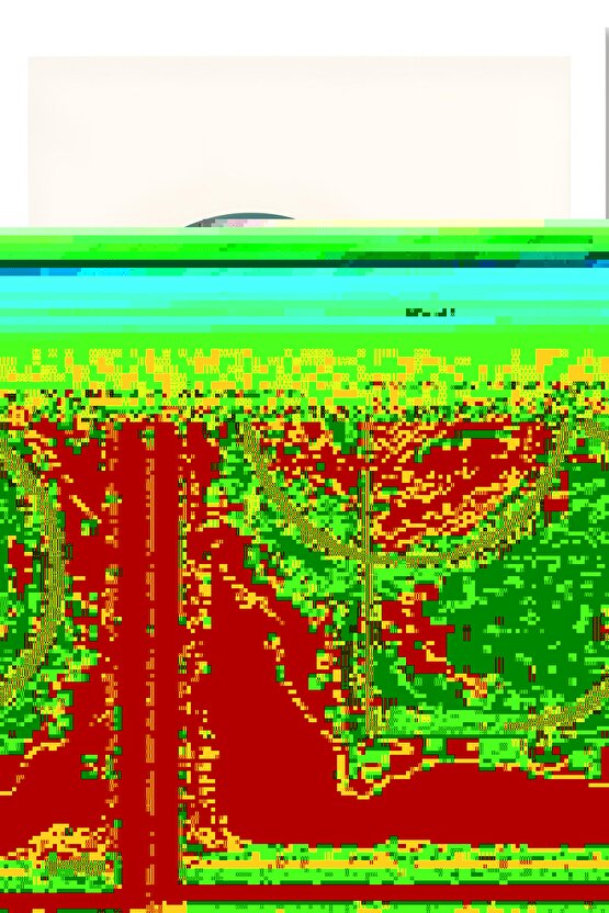 Matisse - Sanat - Soyut - Doğa - Yaşam ( Tekli Çerçevesiz ) Poster - Afiş - Tablo MKKM2200