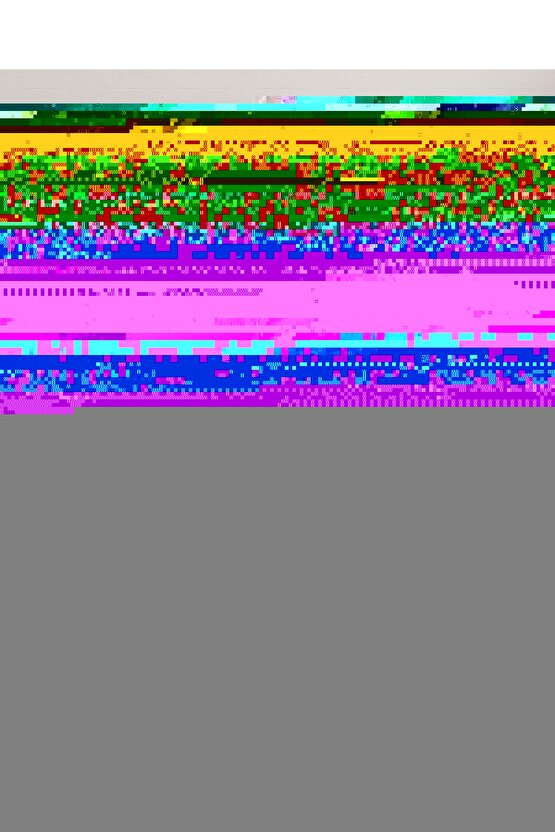 Matisse - Sanat - Soyut - Doğa - Yaşam ( Tekli Çerçevesiz ) Poster - Afiş - Tablo MKKM2485