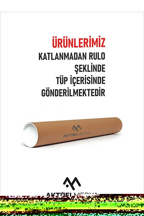 Matisse - Sanat - Soyut - Doğa - Yaşam ( Tekli Çerçevesiz ) Poster - Afiş - Tablo MKKM2234