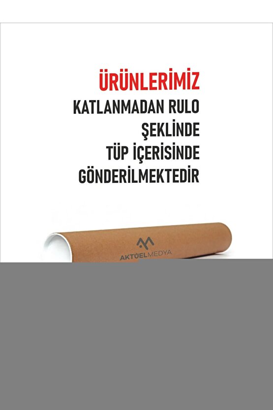 Matisse - Sanat - Soyut - Doğa - Yaşam ( Tekli Çerçevesiz ) Poster - Afiş - Tablo MKKM2608