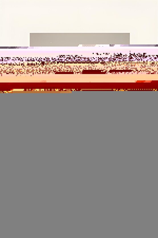 Matisse - Sanat - Soyut - Doğa - Yaşam ( Tekli Çerçevesiz ) Poster - Afiş - Tablo MKKM2609