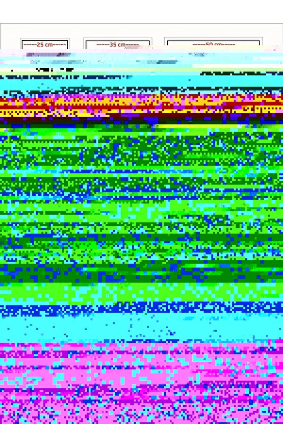 Matisse - Sanat - Soyut - Doğa - Yaşam ( Tekli Çerçevesiz ) Poster - Afiş - Tablo MKKM1475