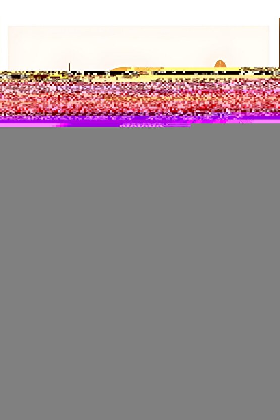 Matisse - Sanat - Soyut - Doğa - Yaşam ( Tekli Çerçevesiz ) Poster - Afiş - Tablo MKKM1100