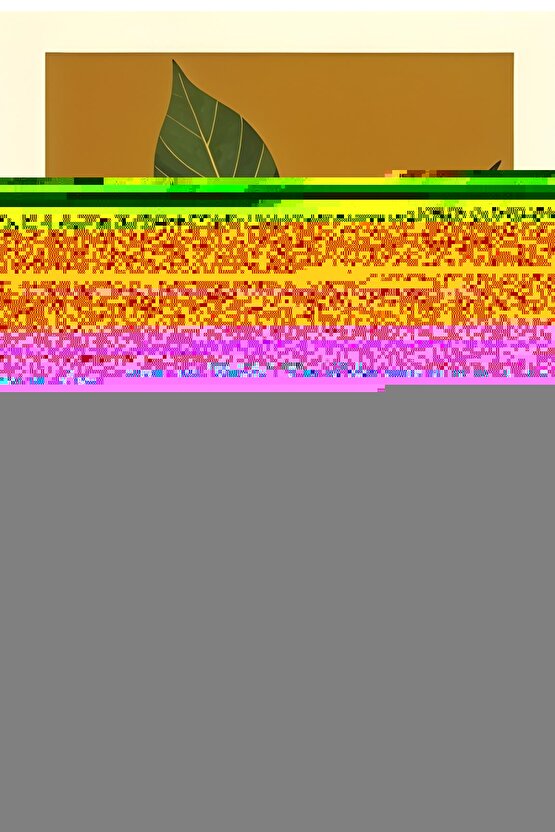 Matisse - Sanat - Soyut - Doğa - Yaşam ( Tekli Çerçevesiz ) Poster - Afiş - Tablo MKKM1407