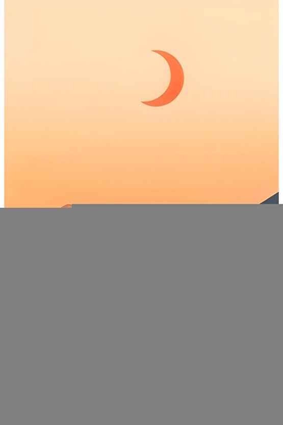 Matisse - Boho - Art Deco - Soyut - Doğa ( 3 lü Çerçevesiz ) Poster - Afiş - Tablo KR2C00666