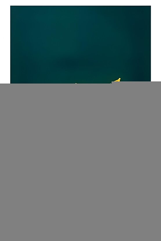 Matisse - Boho - Art Deco - Soyut - Doğa ( 3 lü Çerçevesiz ) Poster - Afiş - Tablo KR2C01292