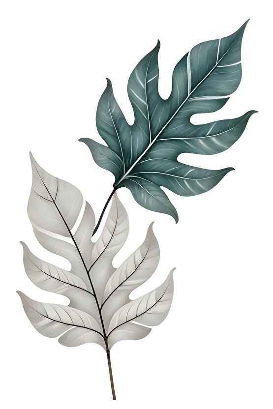 Matisse - Boho - Art Deco - Soyut - Doğa ( 3 lü Çerçevesiz ) Poster - Afiş - Tablo KR2C01034