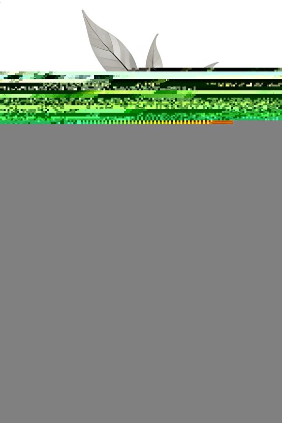 Matisse - Boho - Art Deco - Soyut - Doğa ( 3 lü Çerçevesiz ) Poster - Afiş - Tablo KR2C01034