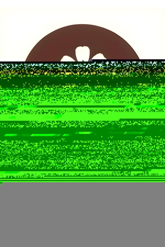 Matisse - Boho - Art Deco - Soyut - Doğa ( 3 lü Çerçevesiz ) Poster - Afiş - Tablo KR2C01124