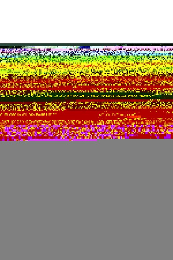 Matisse - Boho - Art Deco - Soyut - Doğa ( 3 lü Çerçevesiz ) Poster - Afiş - Tablo KR2C00307