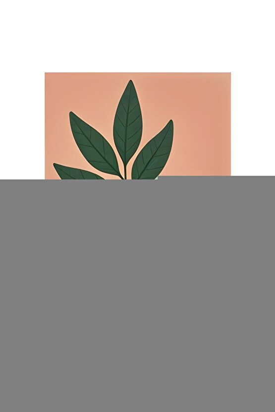 Matisse - Boho - Art Deco - Soyut - Doğa ( 3 lü Çerçevesiz ) Poster - Afiş - Tablo KR2C00086