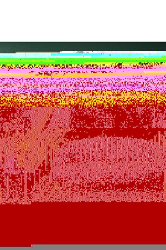 Matisse - Boho - Art Deco - Soyut - Doğa ( 3 lü Çerçevesiz ) Poster - Afiş - Tablo KR2C00652