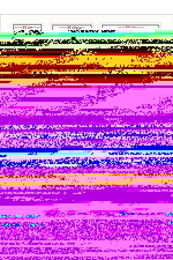 Matisse - Boho - Art Deco - Soyut - Doğa ( 3 lü Çerçevesiz ) Poster - Afiş - Tablo KR2C00305