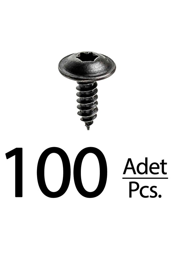 Renault Peugeot Citroen Skoda Fiat Seat için Torx (Tork) Vida Klips - 100 Adet