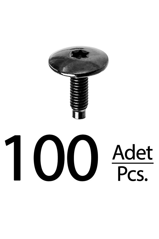 Seat Peugeot Citroen Renault VW BMW 3 E90 için Torx (Tork) Koltuk Kızak Civatası - 100 Adet