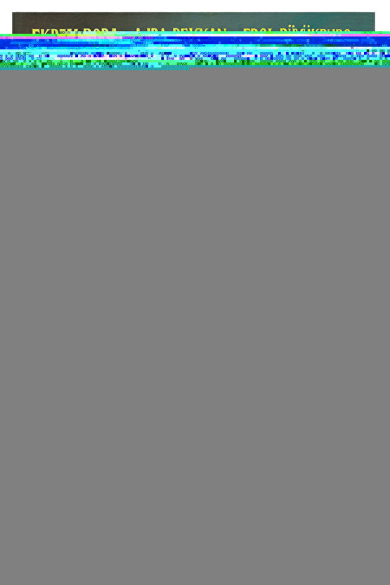 Dacia Logan, Sandero 1 için Çamurluk Sinyali-Sağ