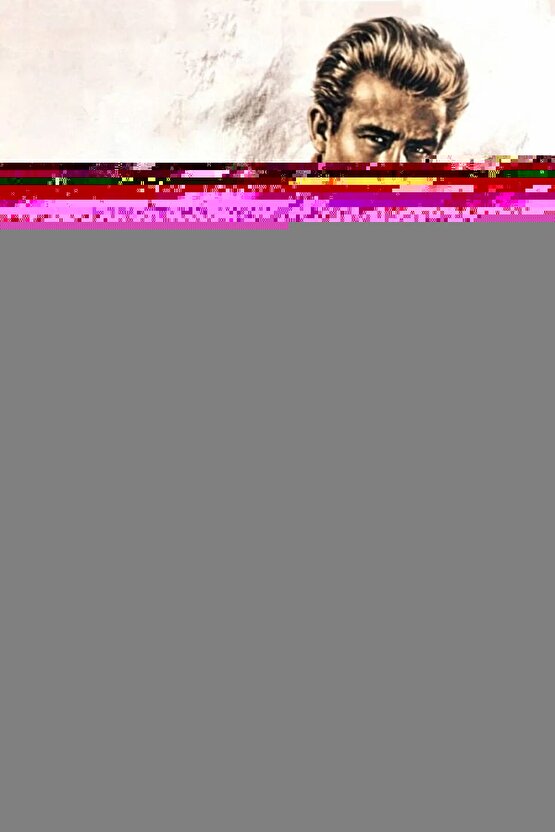 Renault R19,Megane,Clio için Kolçak Somunu- 5li